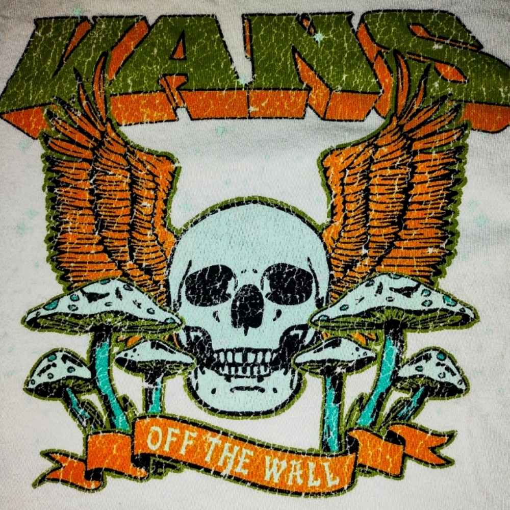 Vans Size M 1993 World Tour Tshirt